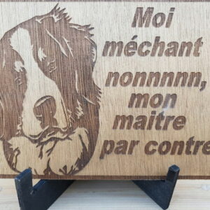 Plaque gravée chien – Moi méchant ?
